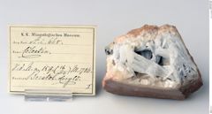 Foto von Coelestin (NHMW-MIN-Ac668)